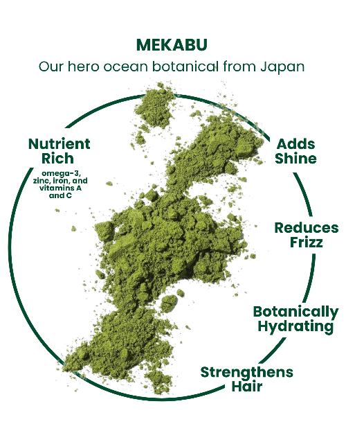 Paquete de peinado MASAMI