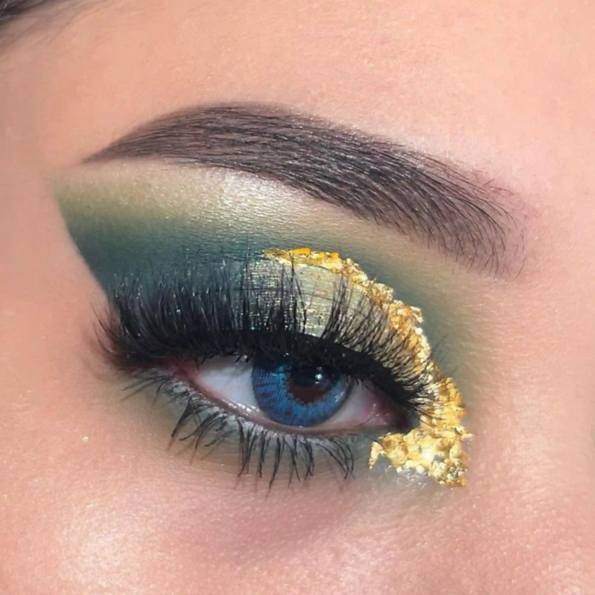 Paleta de sombras de ojos neutras Predator