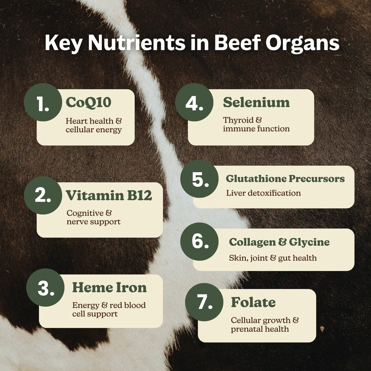 Beef Organs