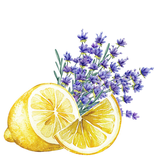 Laundry Detergent | Lavender & Lemon