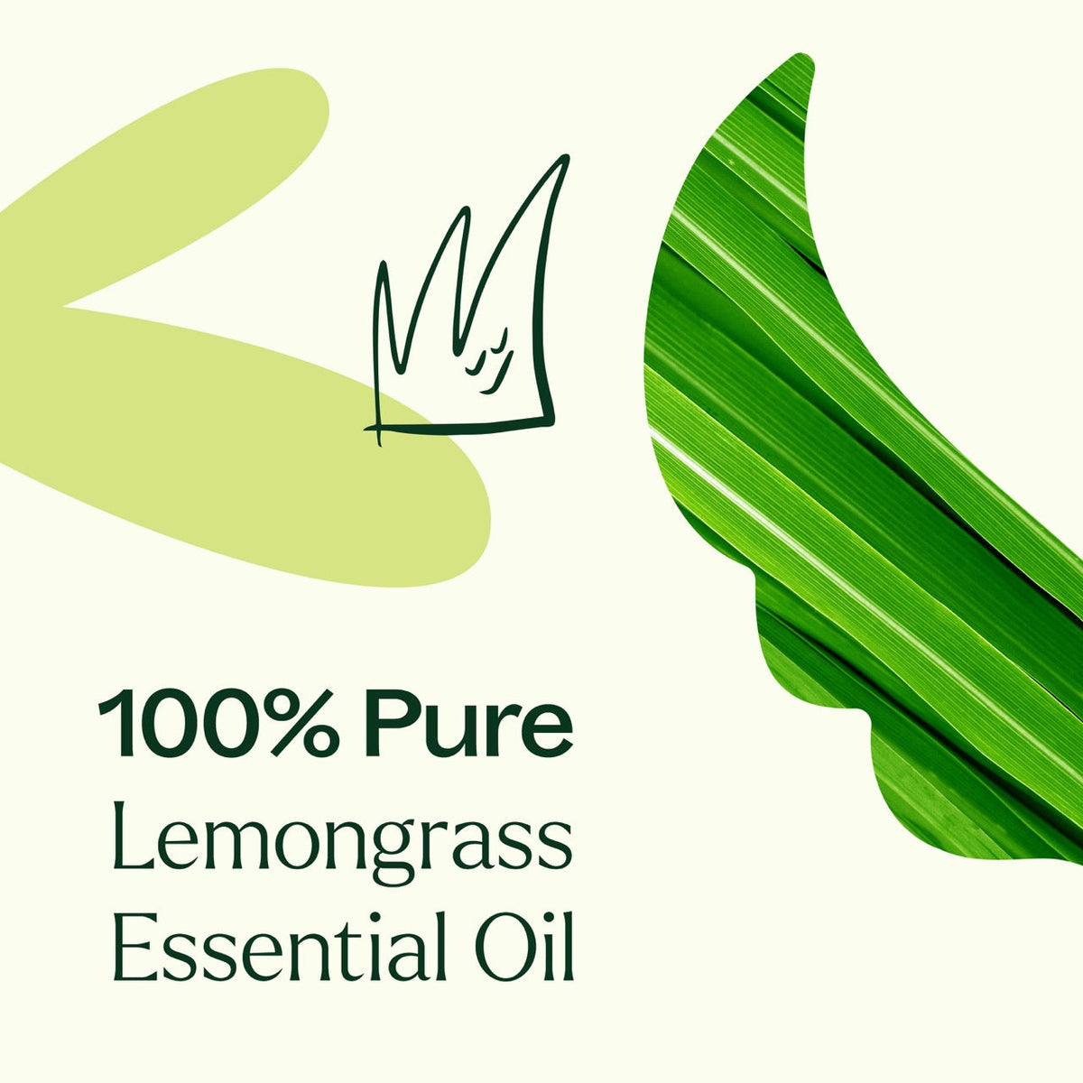 Aceite esencial de limoncillo