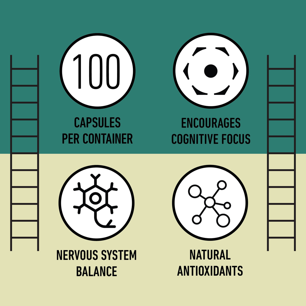 Organic Lion's Mane Capsules