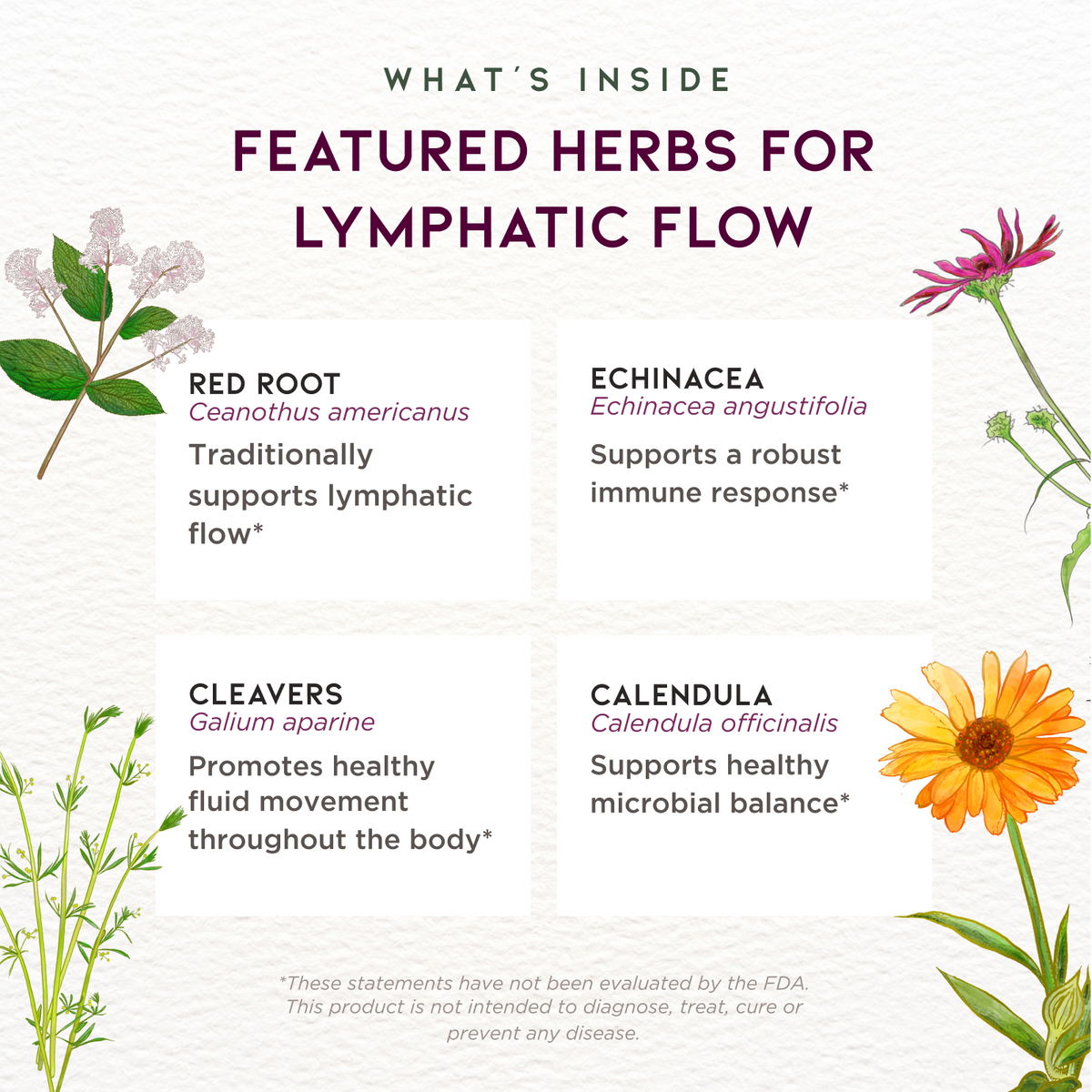 Lymph Mover Fortalecimiento inmunológico