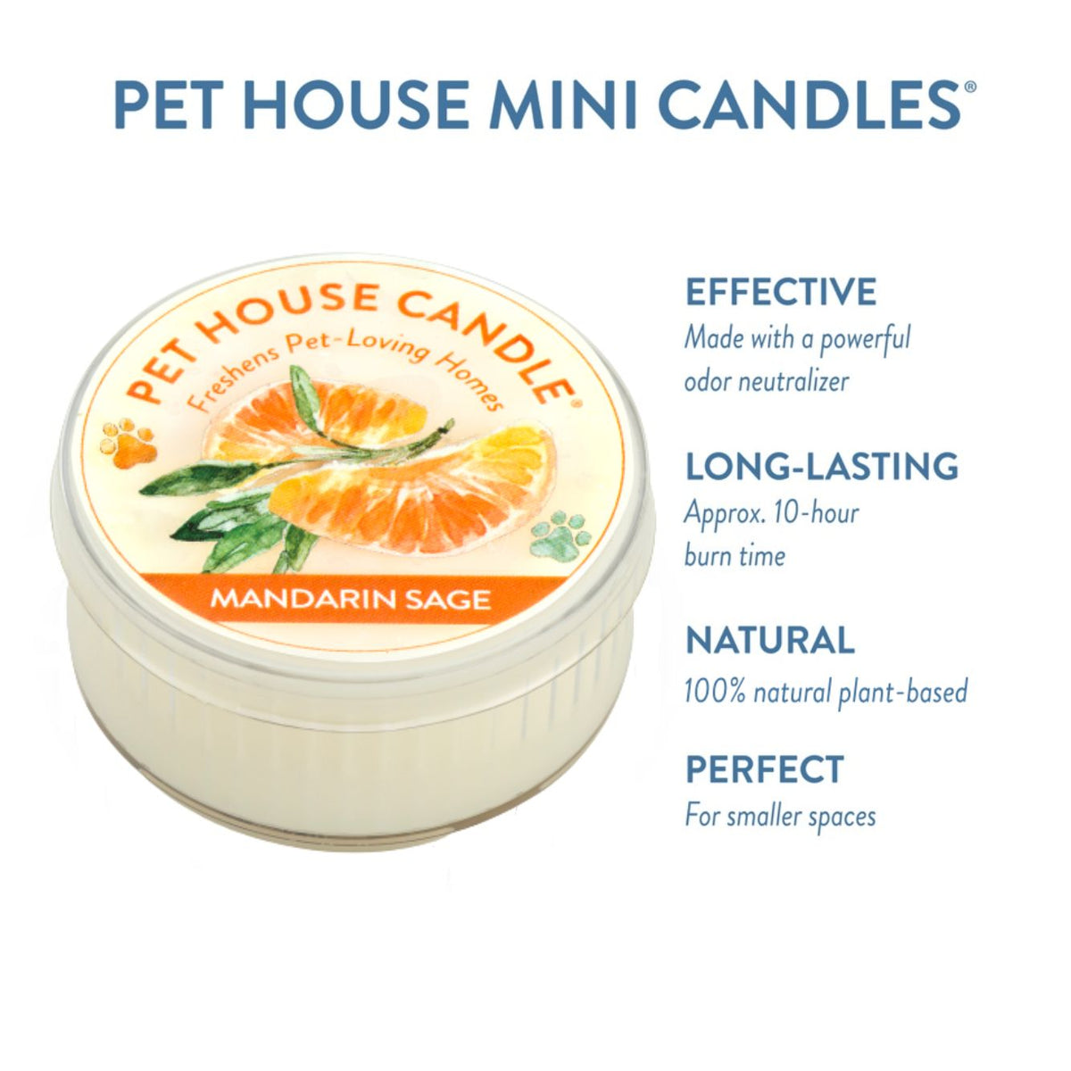 Mandarin Sage Mini Candle