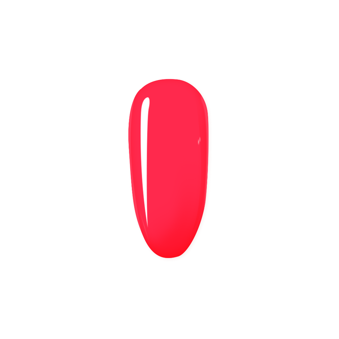 Amapola de fiesta