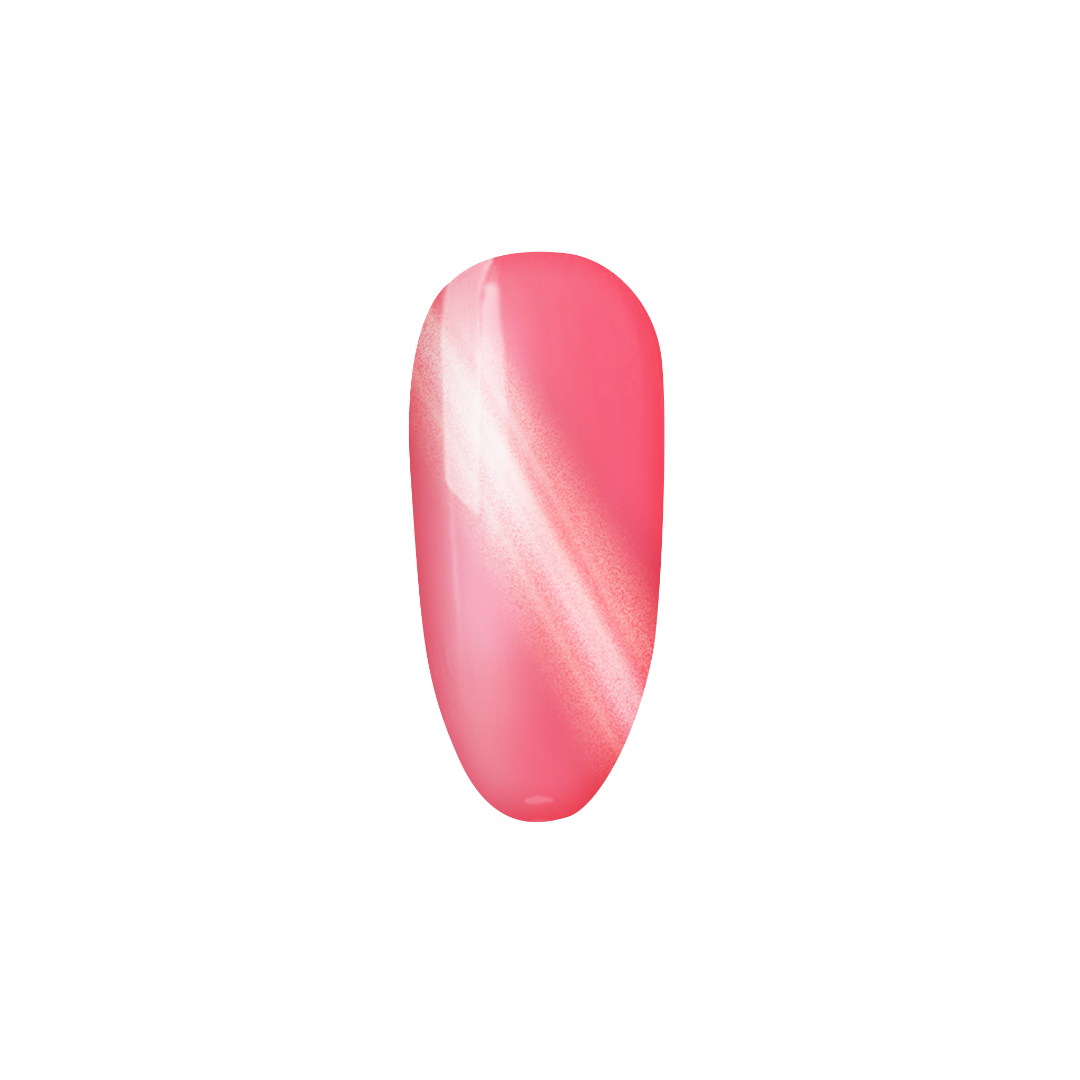 Clima acogedor
