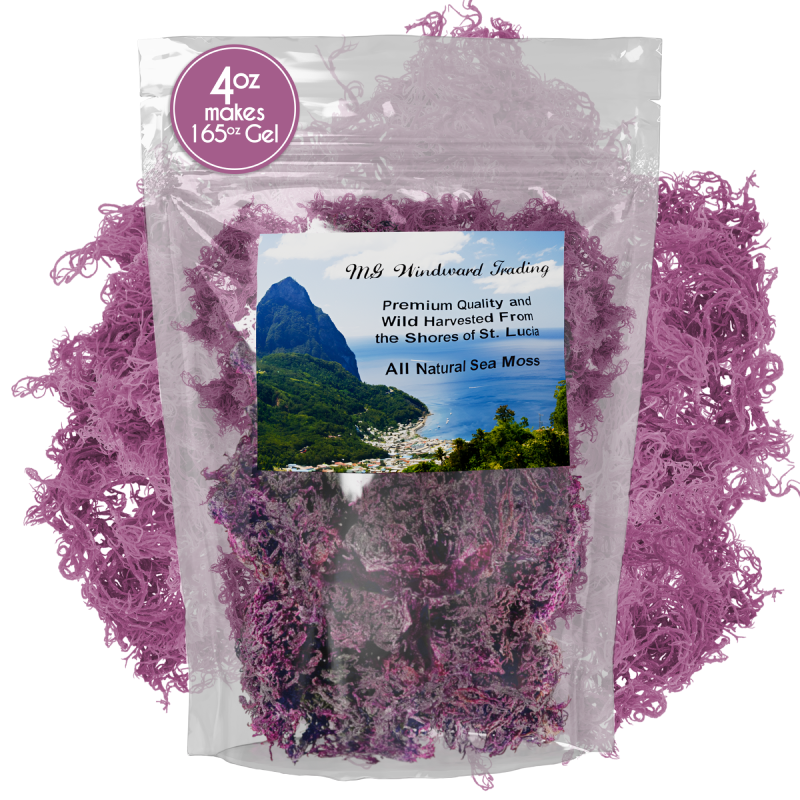 Musgo marino morado crudo, orgánico, de recolección silvestre y certificado puro