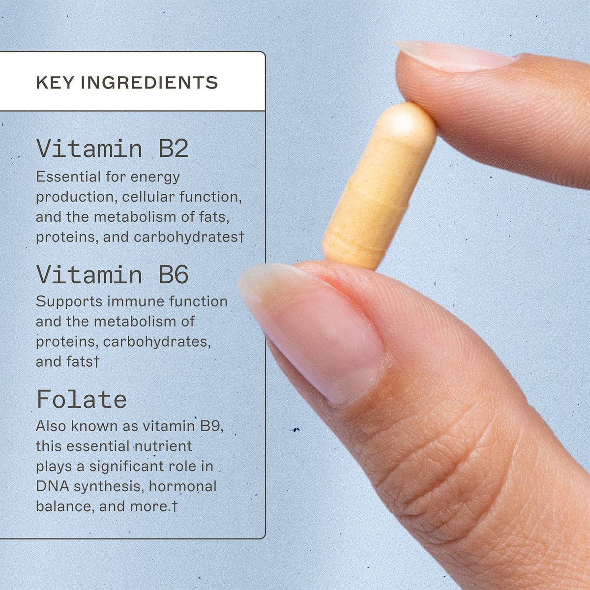 Methylation Support® - MTHFR Supplement