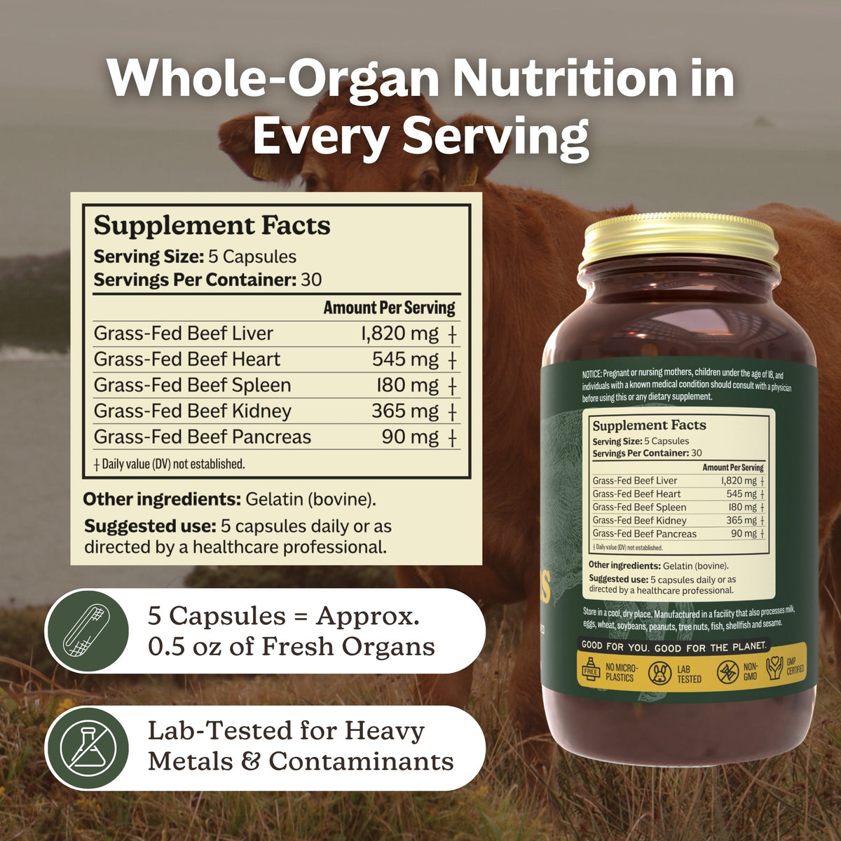 Beef Organs
