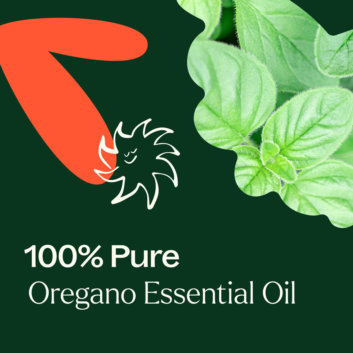 Aceite esencial de orégano