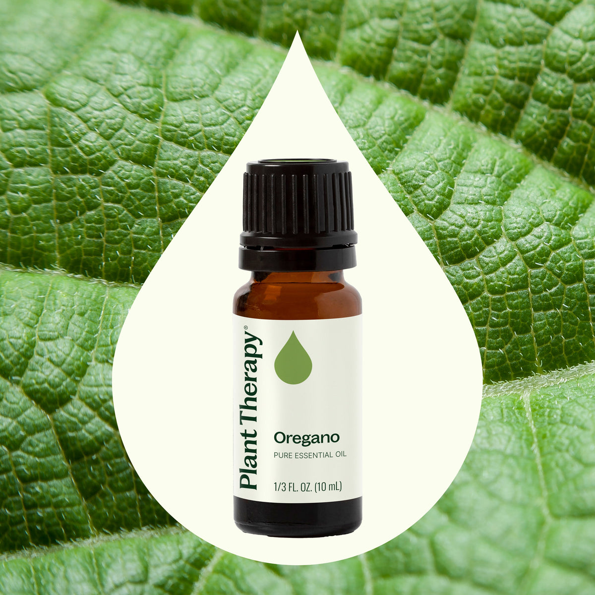 Aceite esencial de orégano