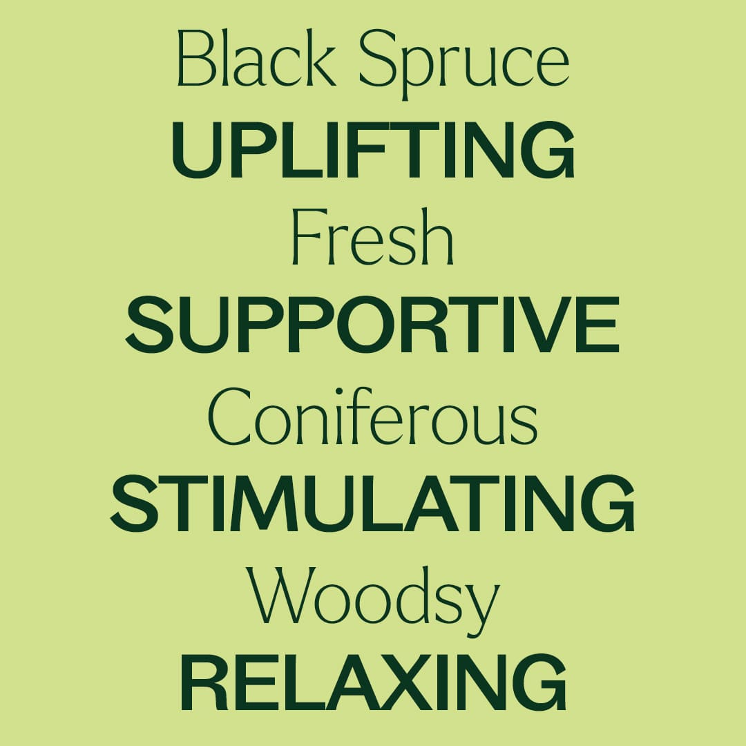 Organic Black Spruce Essential Oil