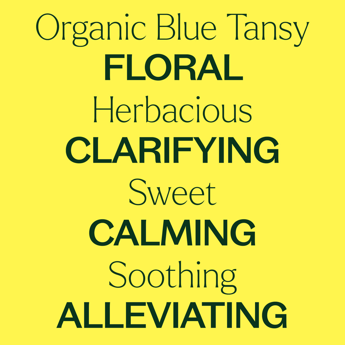 Aceite esencial de tanaceto azul orgánico