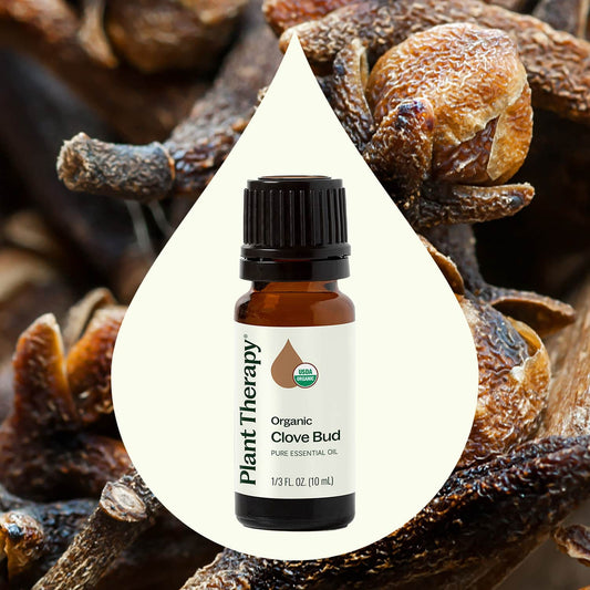 Organic Clove Bud Essential Oil