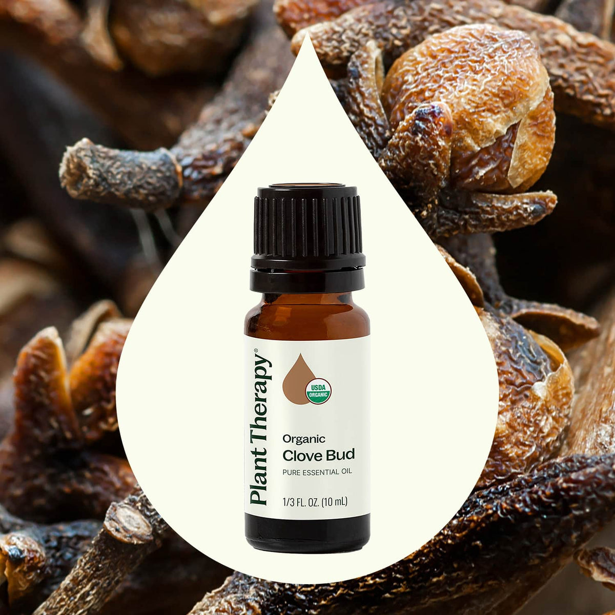 Aceite esencial de clavo orgánico