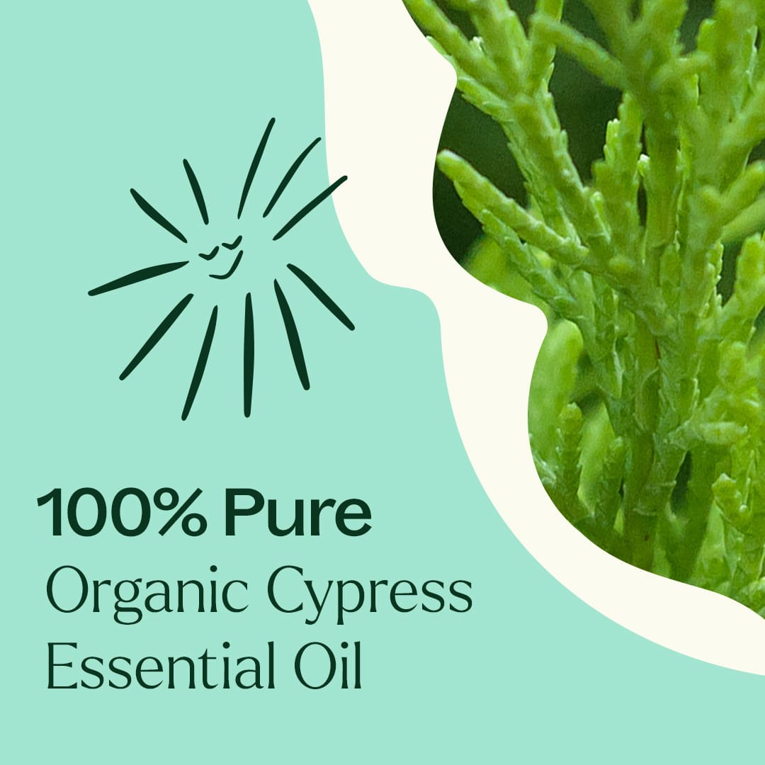 Organic Cypress Essential Oil