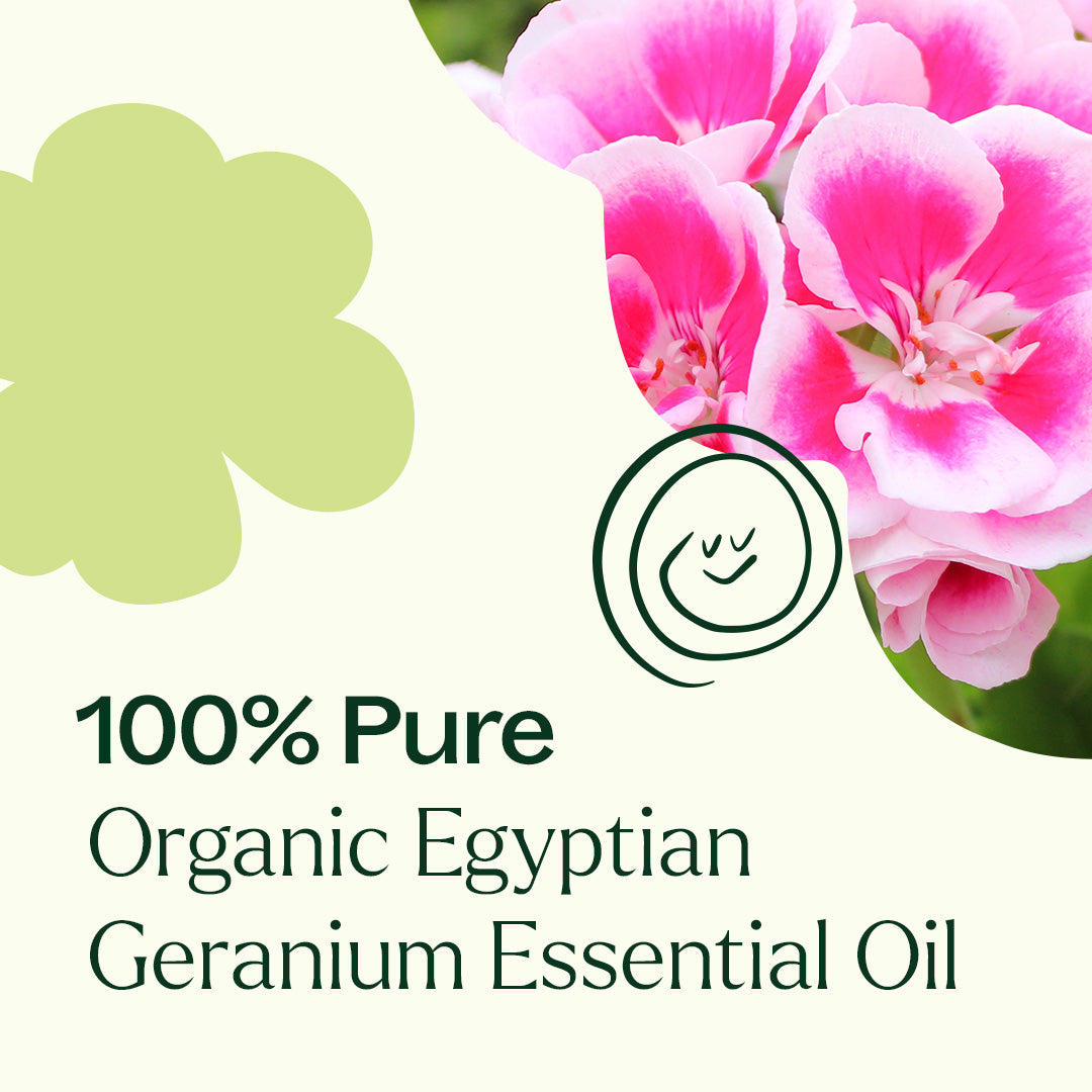 Aceite esencial de geranio egipcio orgánico