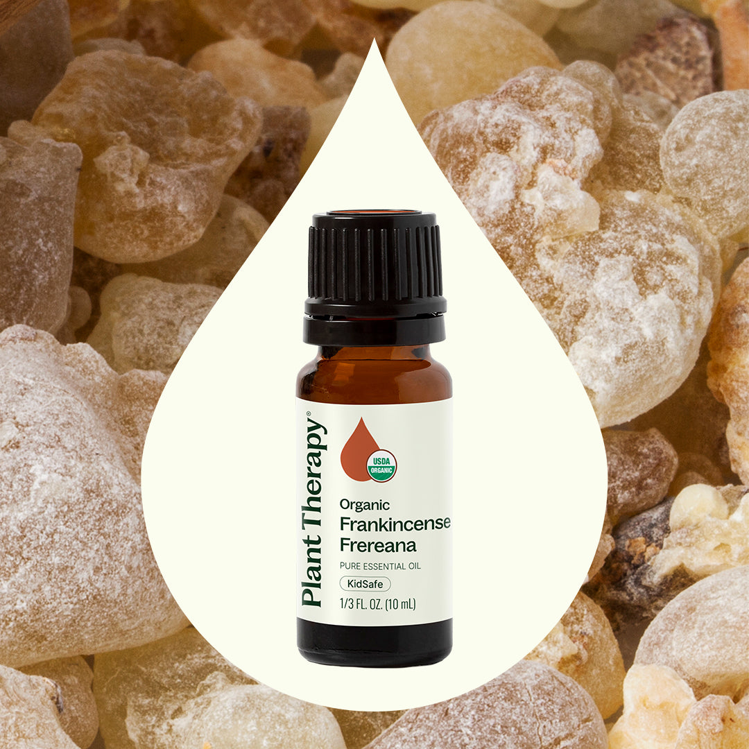 Aceite esencial de incienso orgánico Frereana