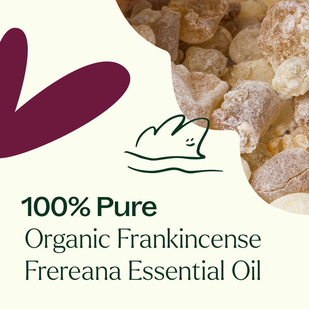 Aceite esencial de incienso orgánico Frereana