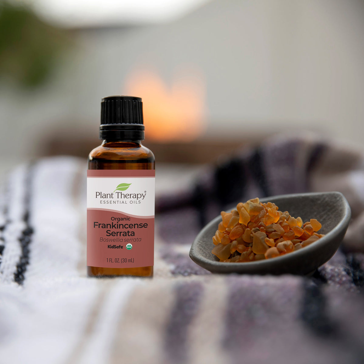Aceite esencial de incienso serrata orgánico