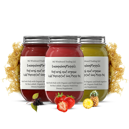 Organic Fruit Infused BEST SELLER Sea Moss Gel Bundle