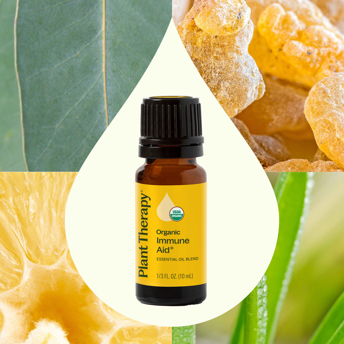 Organic Immune Aid Essential Oil Blend