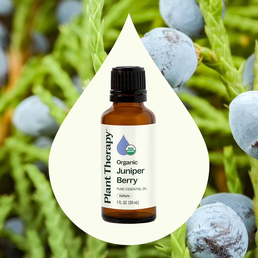 Organic Juniper Berry Essential Oil