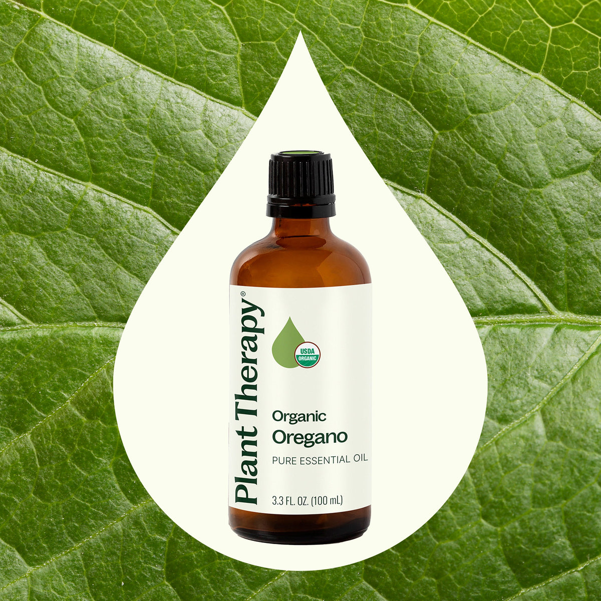 Aceite esencial de orégano orgánico