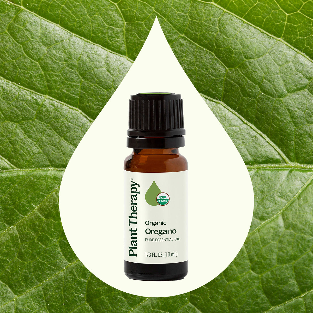 Aceite esencial de orégano orgánico