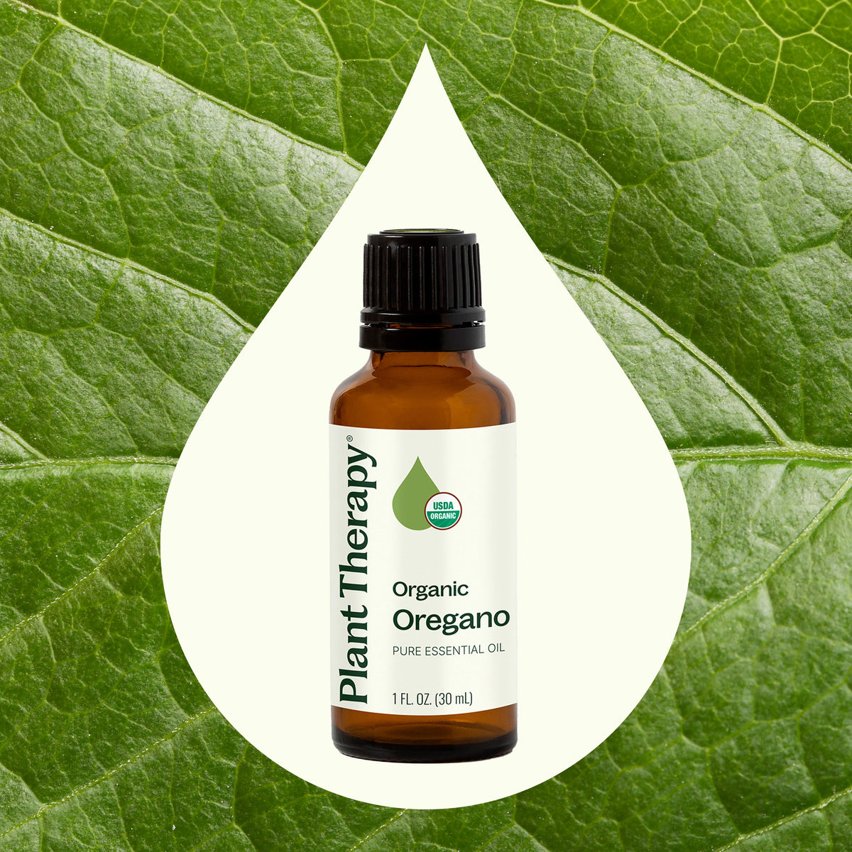 Aceite esencial de orégano orgánico