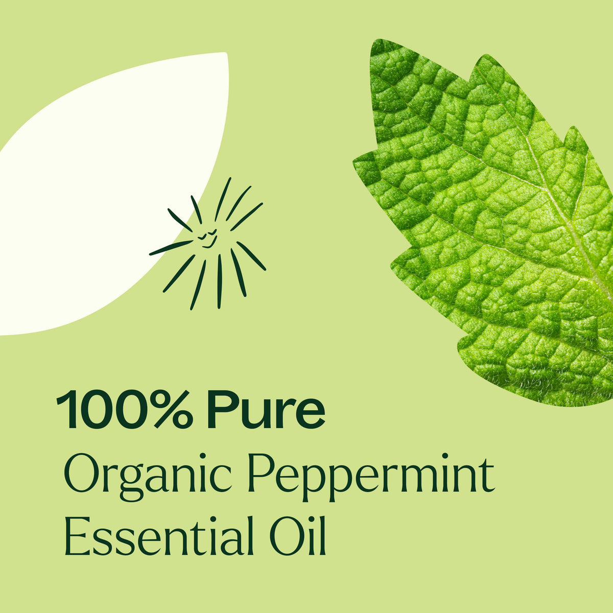 Huile Essentielle de Menthe Poivrée Bio Pré-diluée en Roll-on