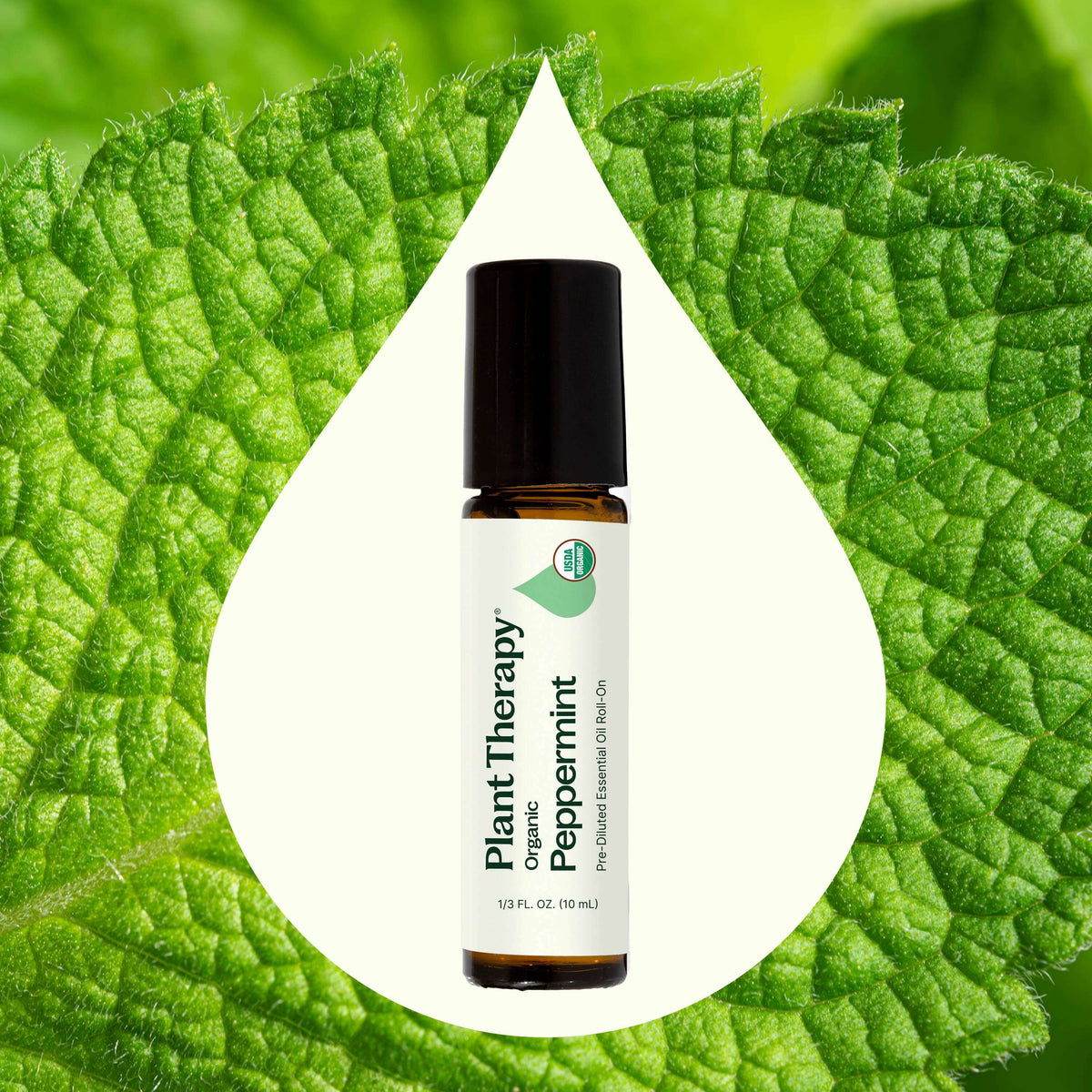 Huile Essentielle de Menthe Poivrée Bio Pré-diluée en Roll-on