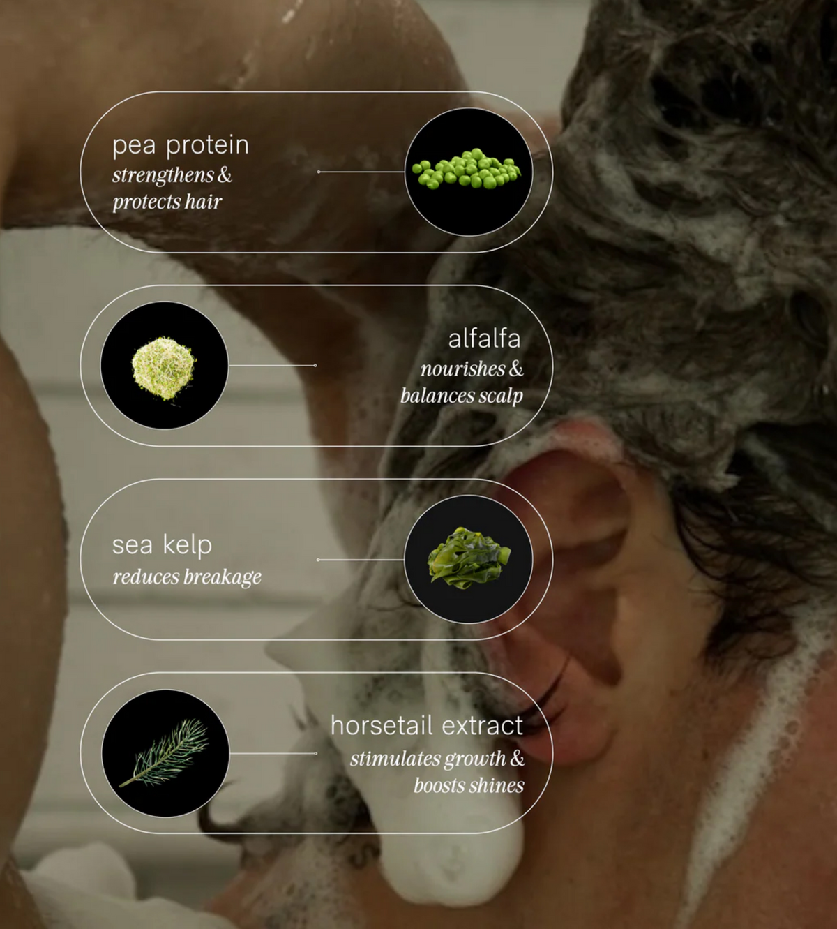 Shampoing Crème