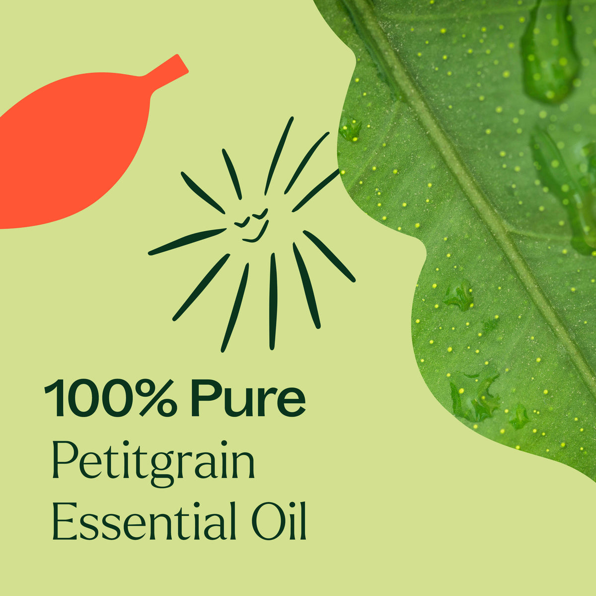 Aceite esencial de petitgrain