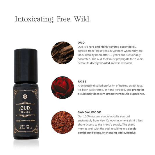 Oud Révélé (10ml)- Collective
