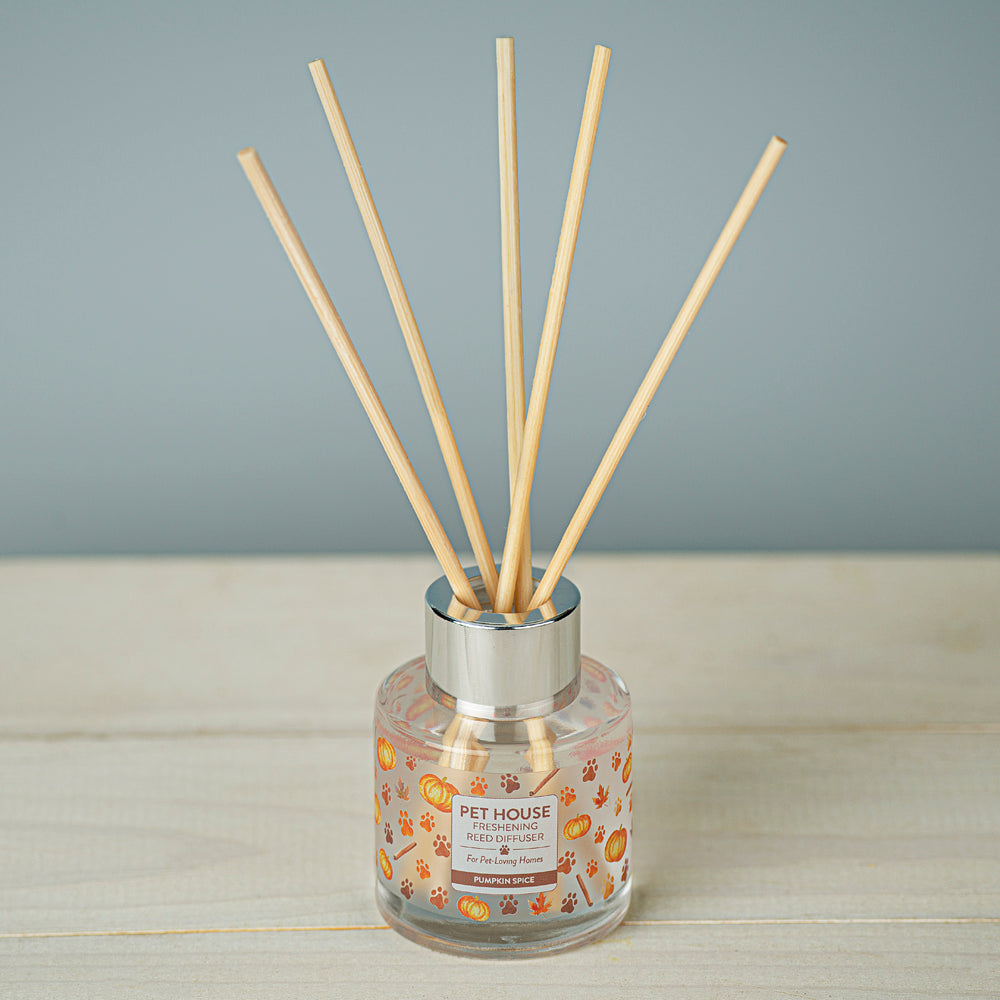 Pumpkin Spice Reed Diffuser