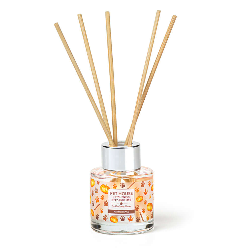 Difusor de varillas con especias de calabaza