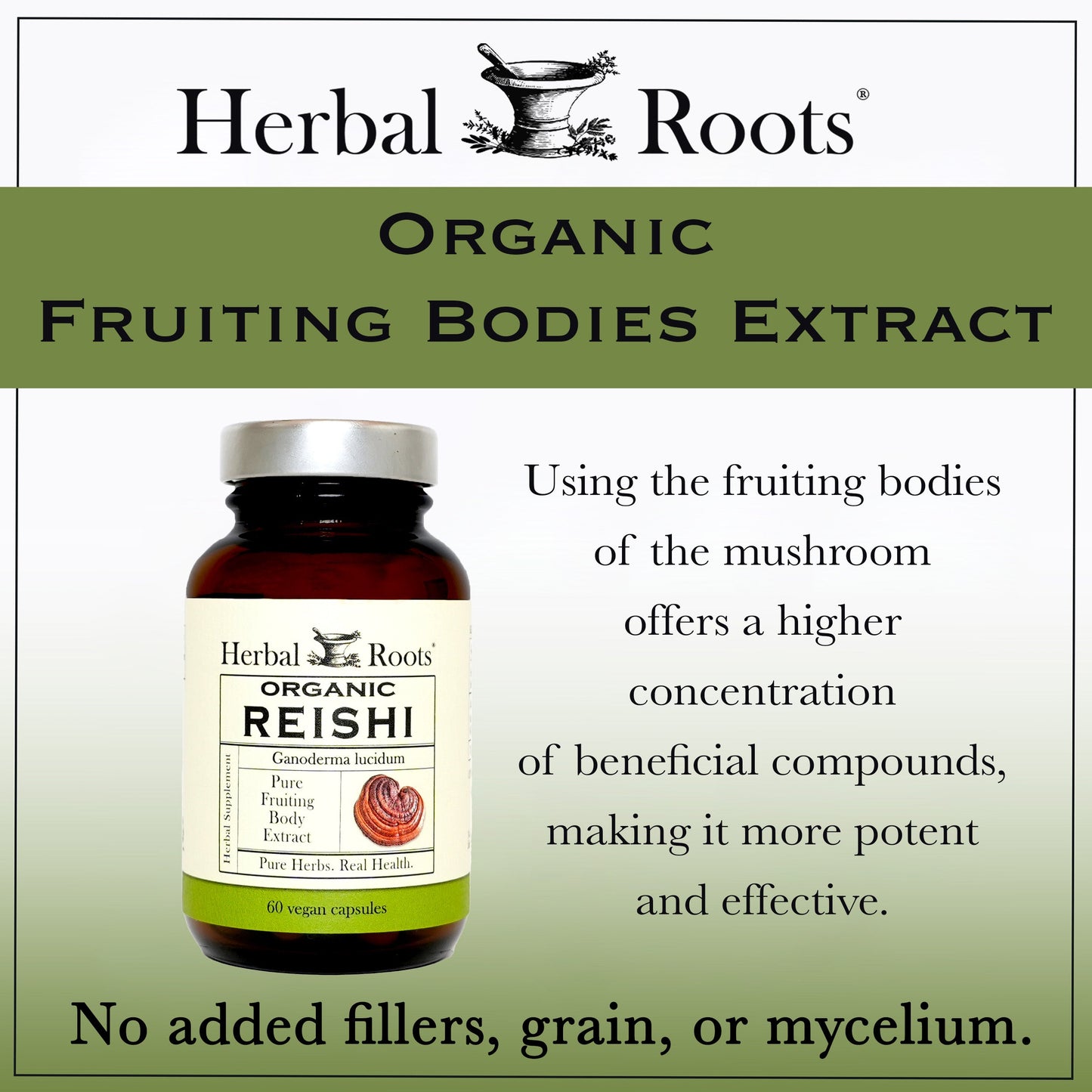 Organic Reishi Mushroom