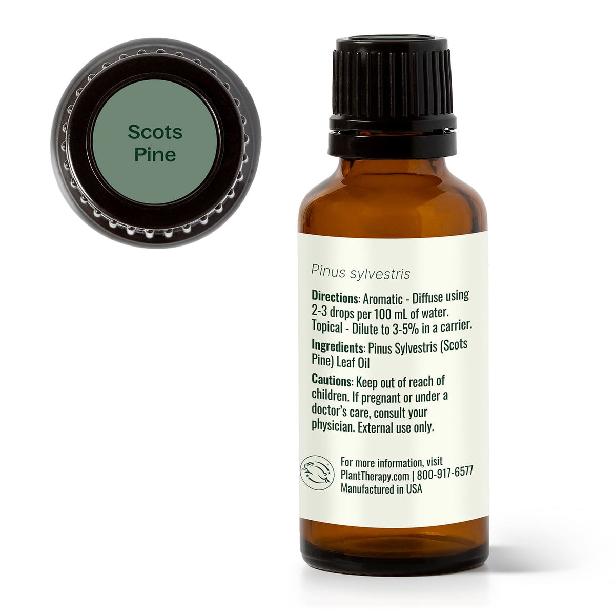 Aceite esencial de pino silvestre