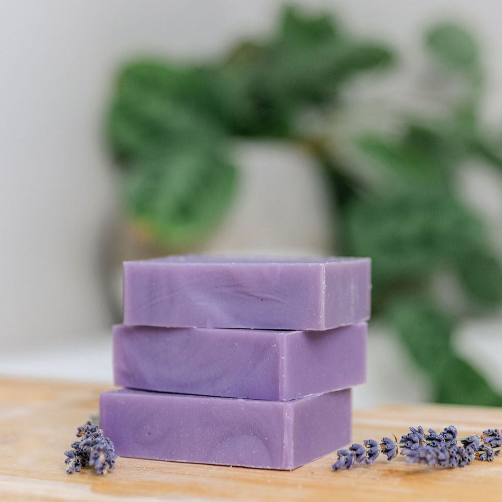 Lavender Shave Soap | Natural Soap | Una Biologicals