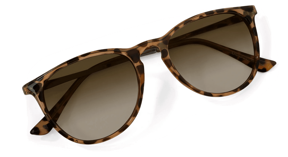 Shockoe Sunglasses