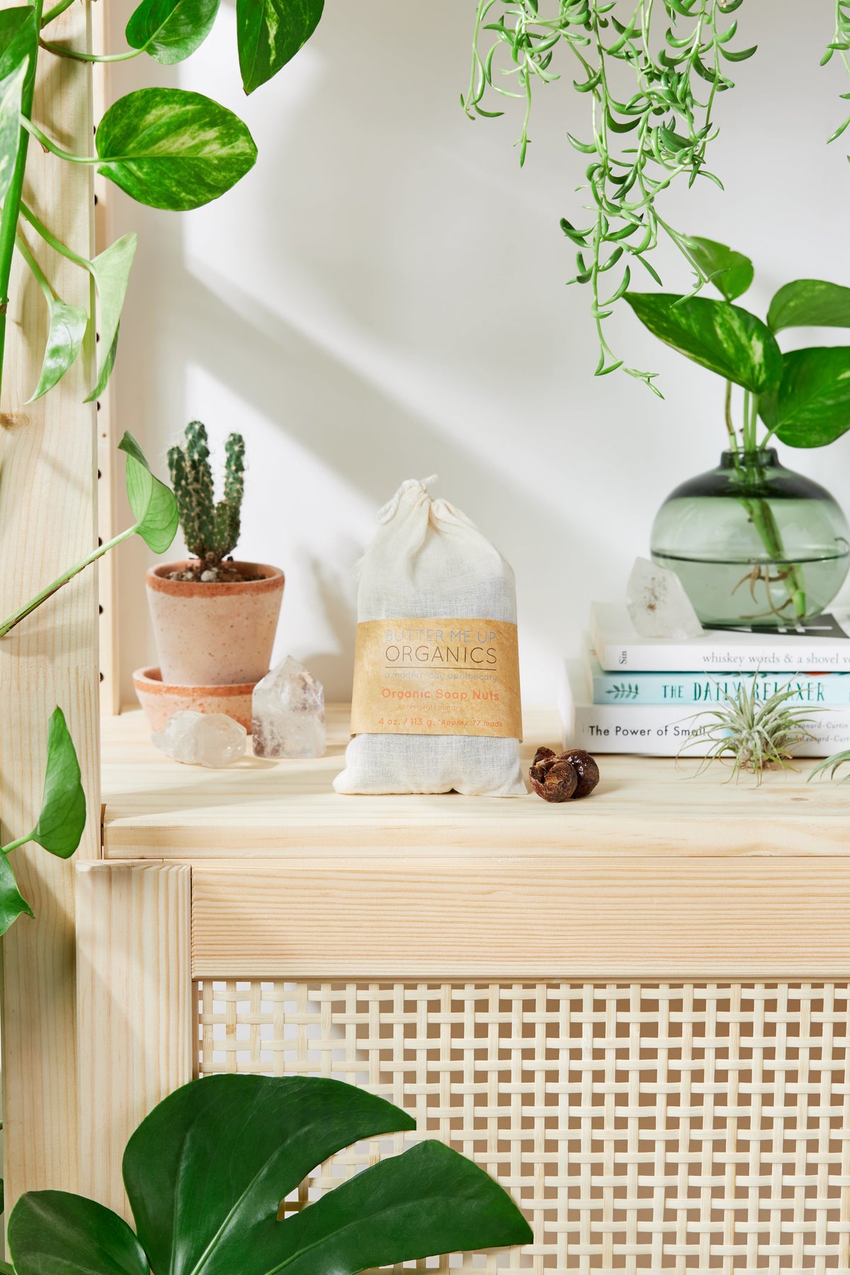 Organic Soap Nuts