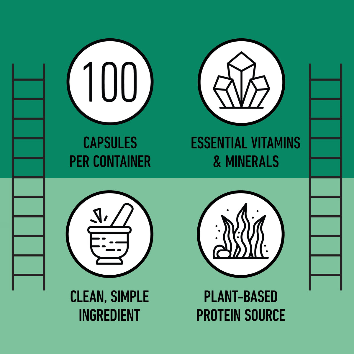 Gélules de spiruline biologique