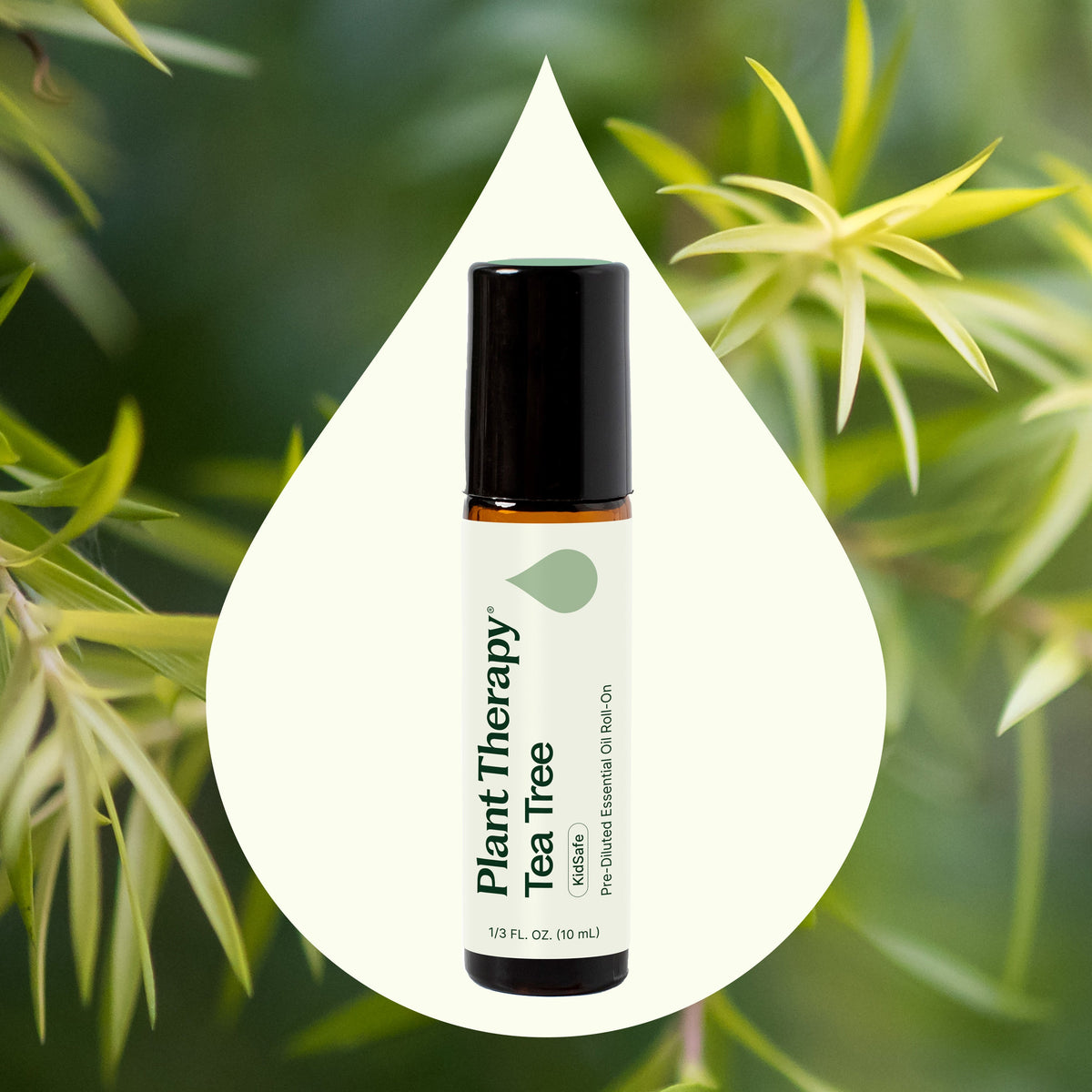 Roll-on prediluido de aceite esencial de árbol de té