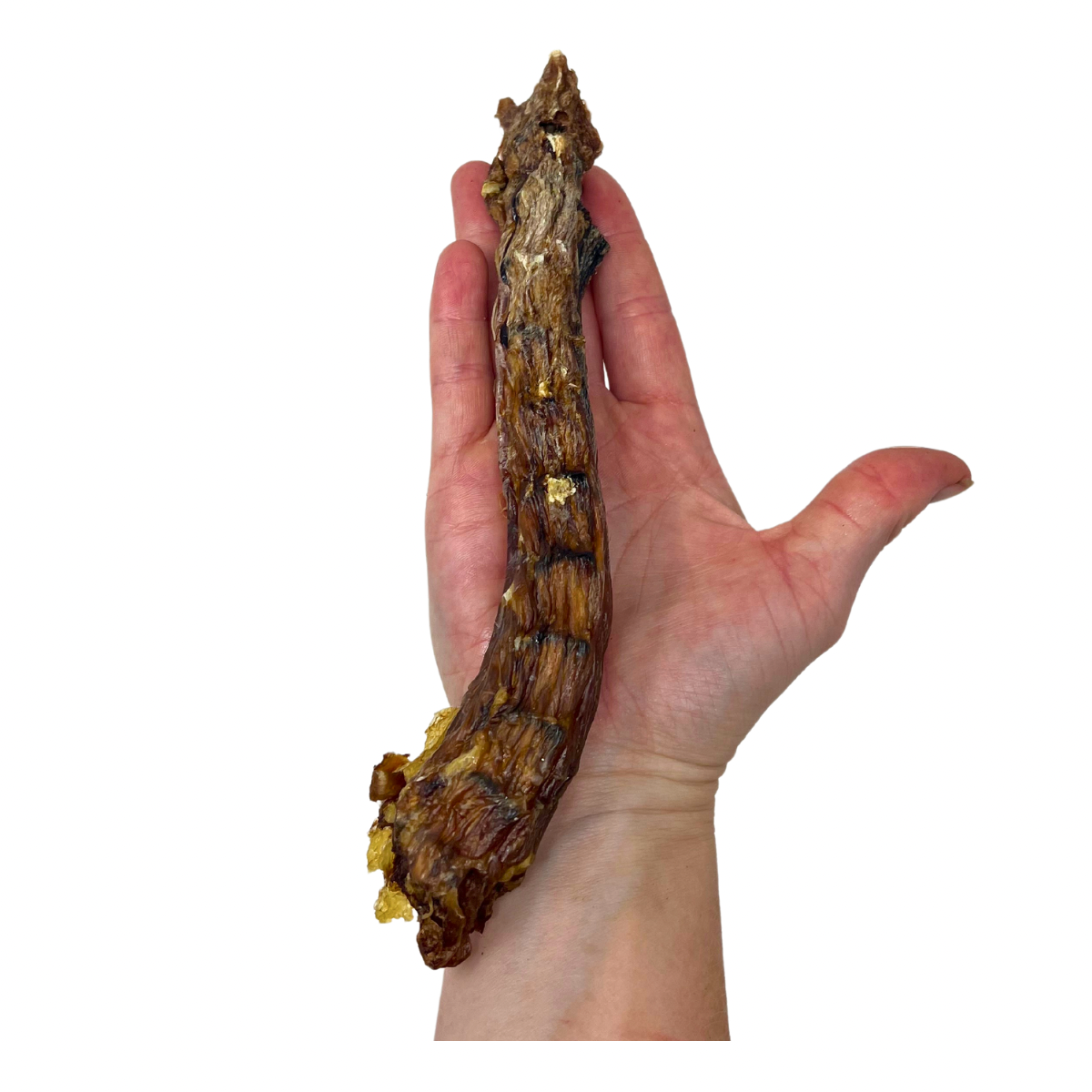 Dehydrated Duck Necks