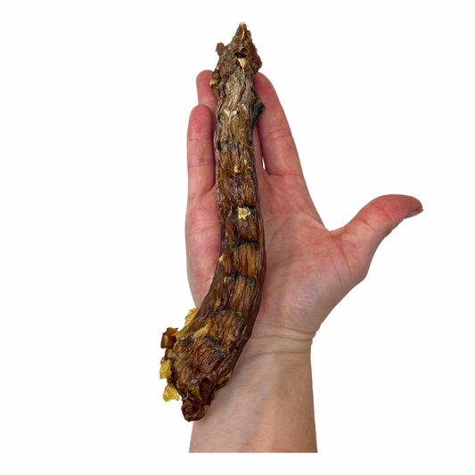 Dehydrated Duck Necks