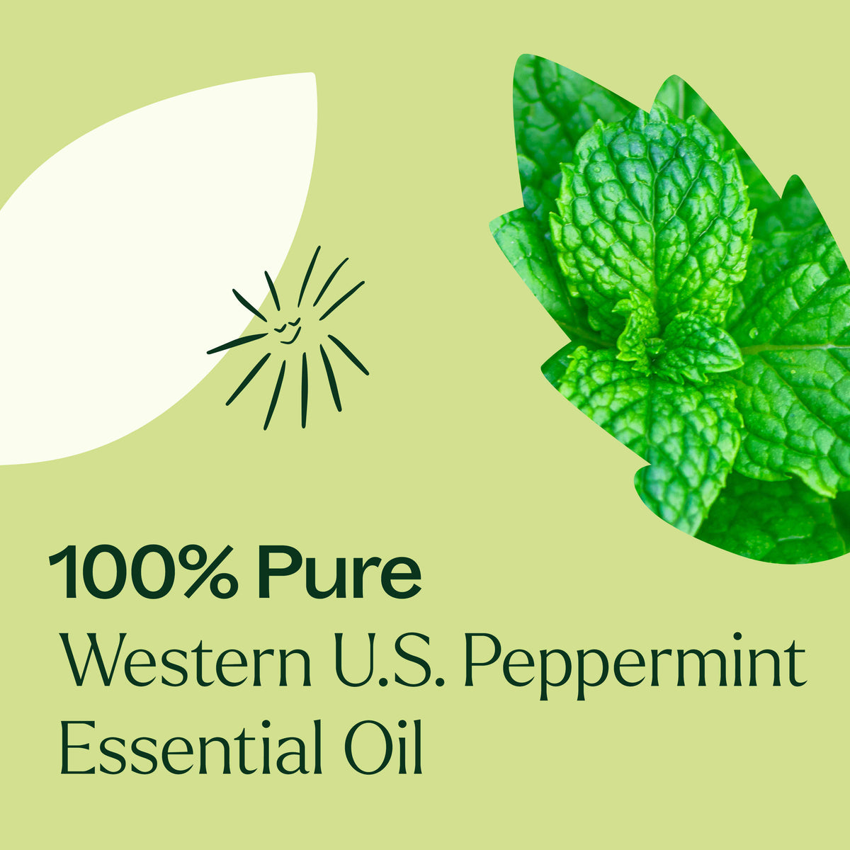 Western U.S. Peppermint Essential Oil