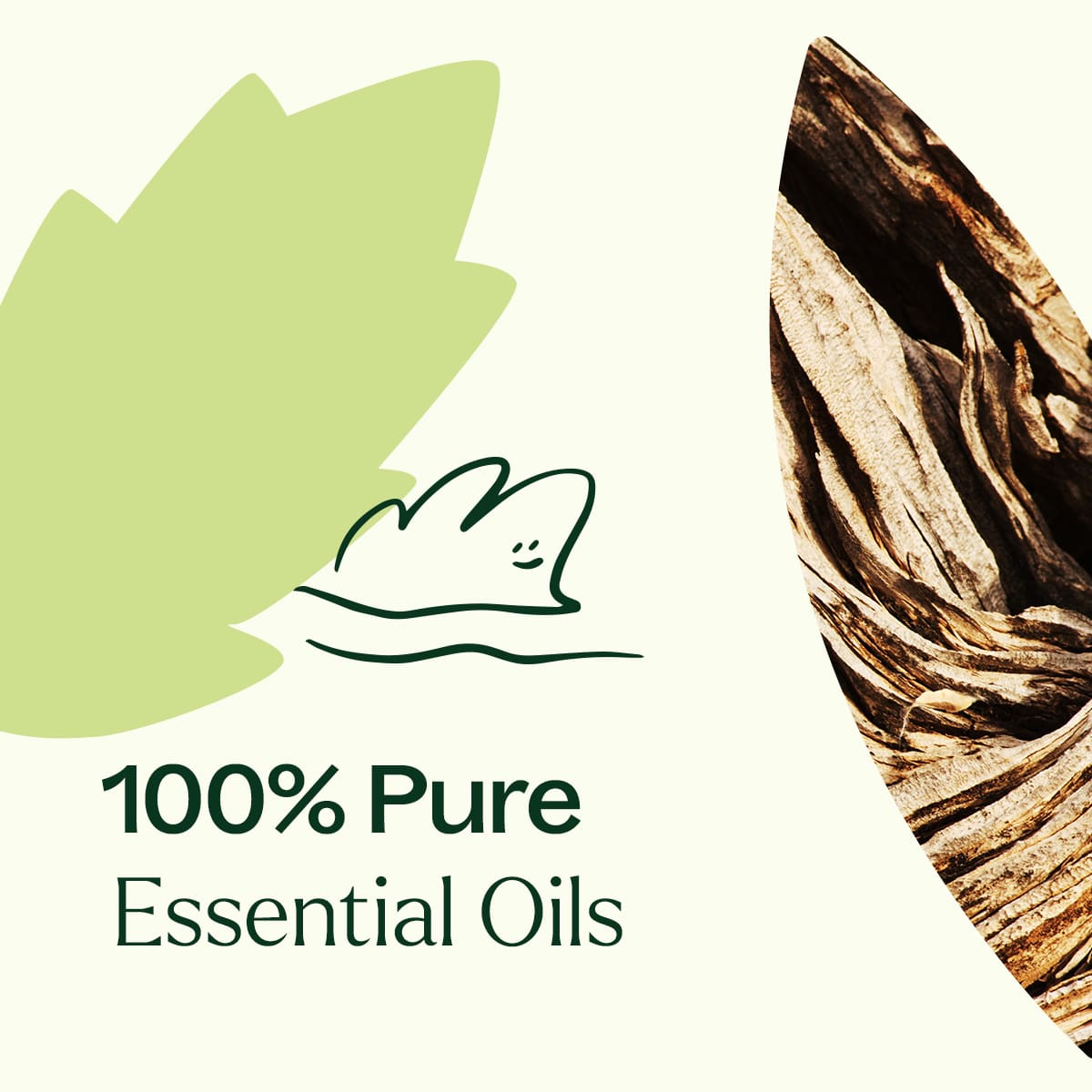 Mezcla de aceites esenciales de especias de madera