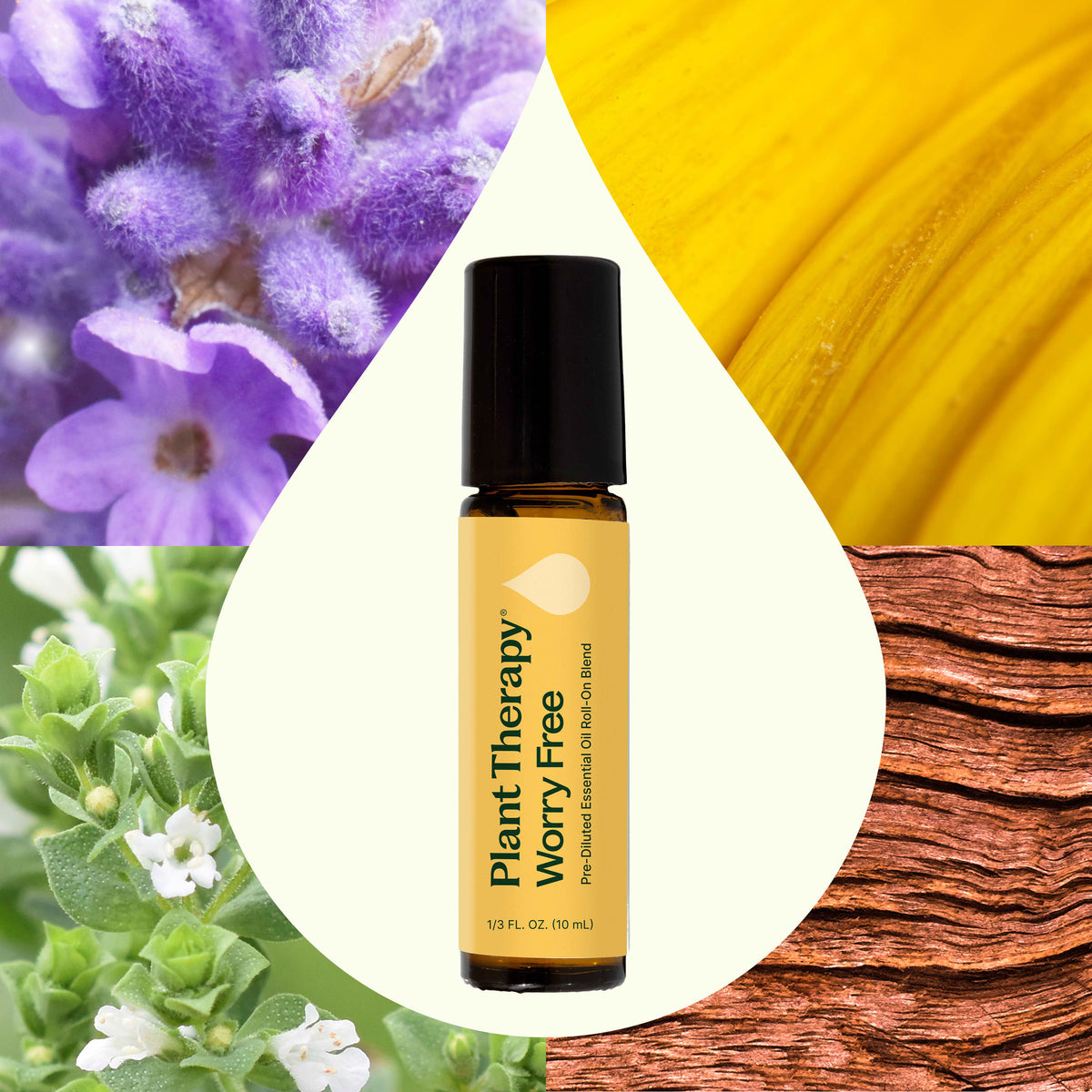 Mélange d'huiles essentielles Sans Souci™ en roll-on pré-dilué