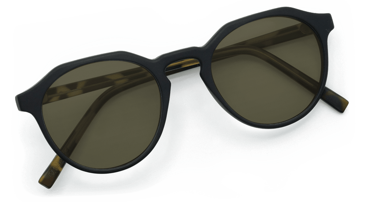 Wynwood Sunglasses